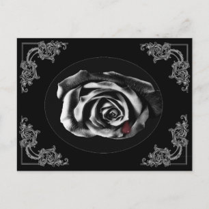 Cartes postales du rose noir gothique Vampire