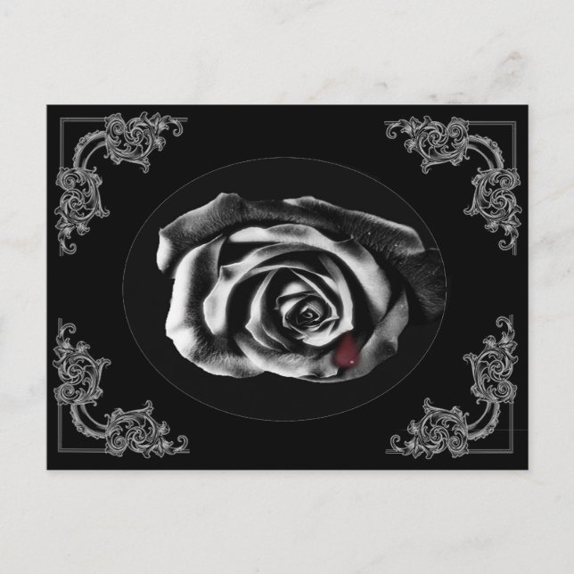 Cartes postales du rose noir gothique Vampire (Devant)