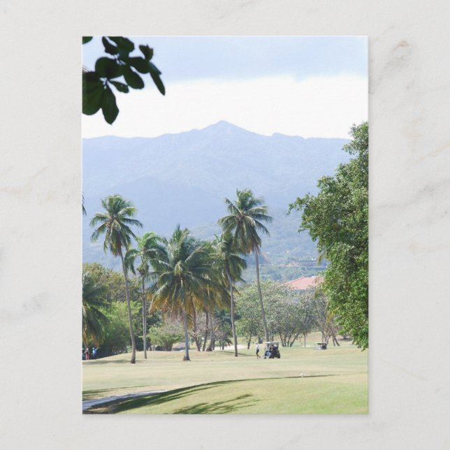 Cartes postales du terrain de golf tropical (Devant)
