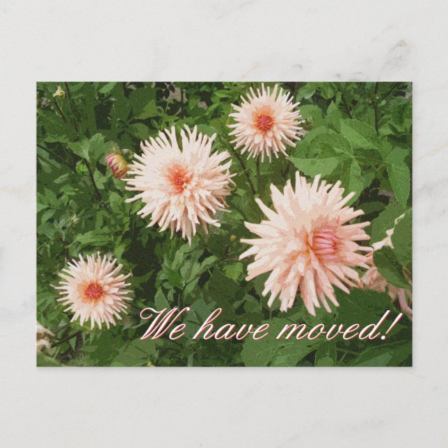 Cartes postales élégantes en mouvement avec fleur  (Devant)