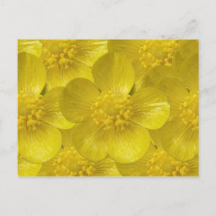 Cartes postales en coupe-beurre