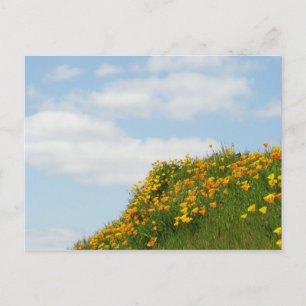 Cartes postales Fleur Colline Ciel Bleu Nuages Bla