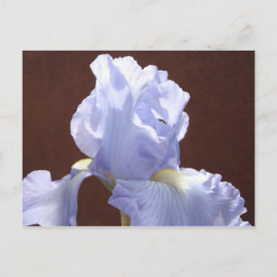 Cartes postales Fleur d'Iris Bleu Ajouter Texte