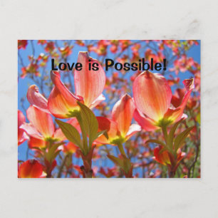 Cartes postales Fleurs de Cornouiller Rose L'amour