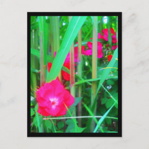 Cartes postales-Fleurs de ville-13