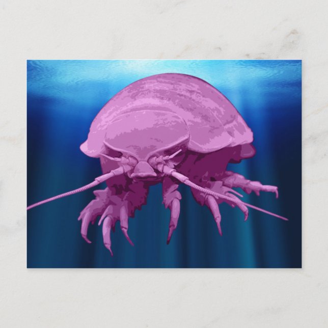 Cartes postales Giant Isopod (Devant)