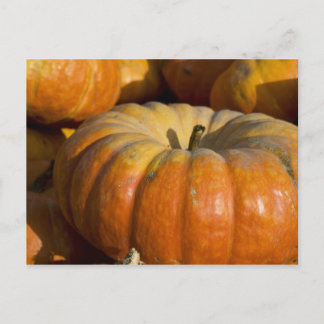 Cartes postales:  Grand Citrouille