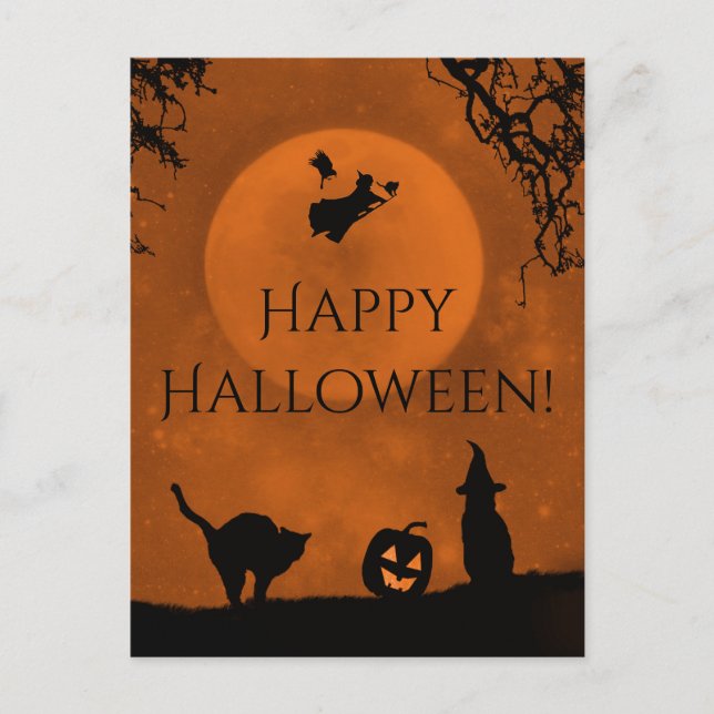 Cartes postales Halloween sorcières et chats noirs (Devant)