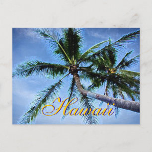 Cartes postales Hawaiian Palm Trees