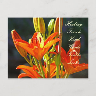 Cartes postales Healing Touch Kind Words Gentle Lo