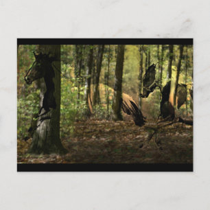 Cartes postales Horse Spirit