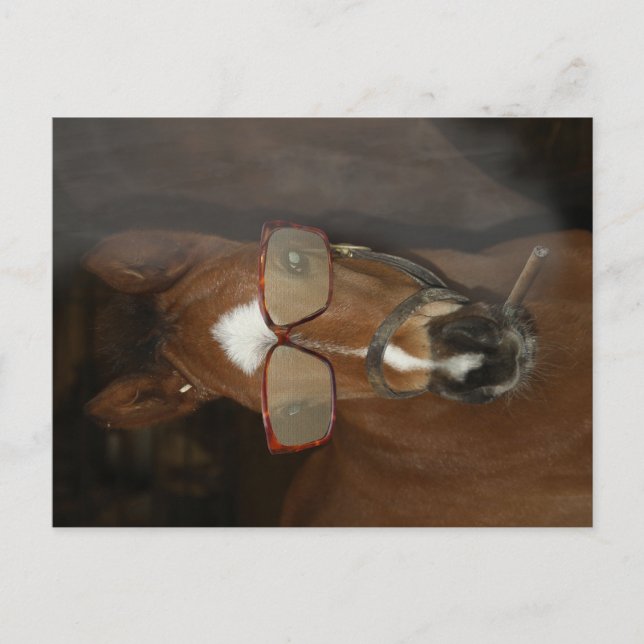 Cartes postales humoristiques Foin Fumer Cigar (Devant)