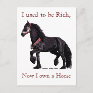 Cartes postales Humour cheval