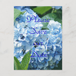 Cartes postales Hydrangeas Bleues Sauvez notre dat