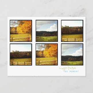 cartes postales instagram