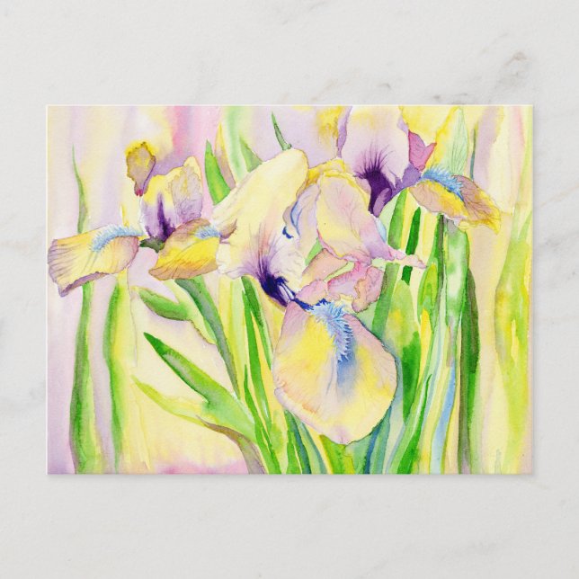 Cartes postales Iris en pain d'épices (Devant)