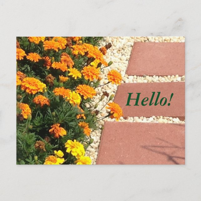 Cartes postales Jaune Orange Marigold Fleurs (Devant)