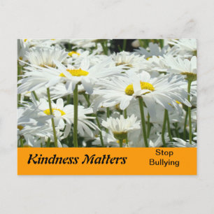 Cartes postales Kindness Matters promotion Stop Bu