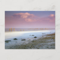 Cartes postales "La Côte Norfolk"