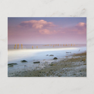 Cartes postales "La Côte Norfolk"