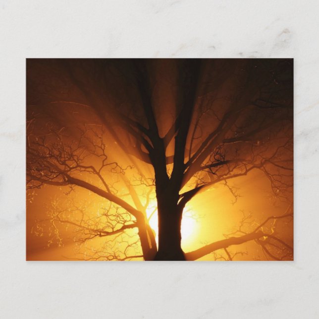 Cartes Postales Lumière (Devant)