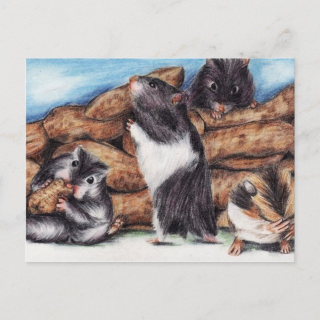 Cartes postales Masons arachides (Hamster) (Devant)
