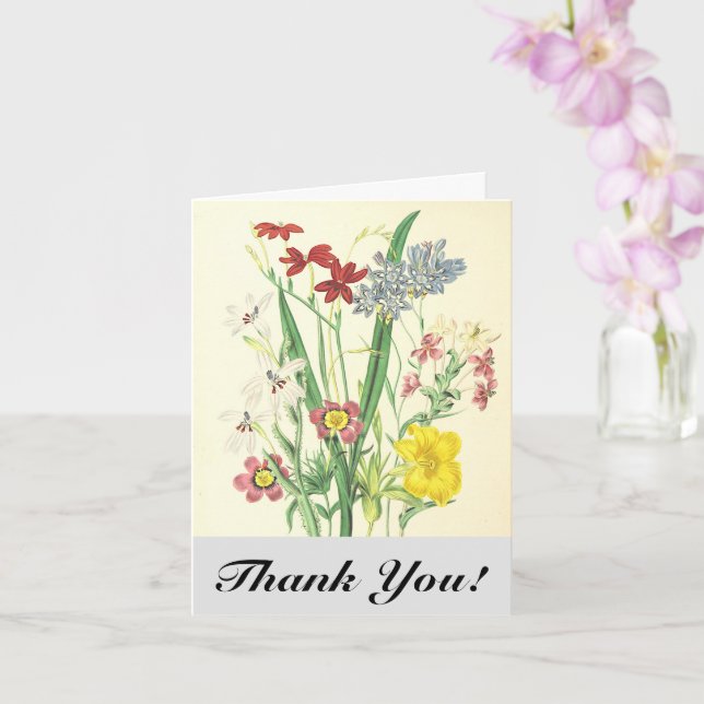 Cartes postales "Merci !" avec des fleurs et des p (Orchidée)