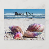 Cartes postales Merci Plage de sable Coquillages O