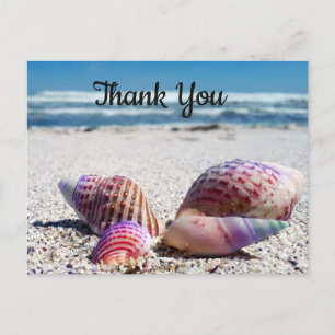 Cartes postales Merci Plage de sable Coquillages O