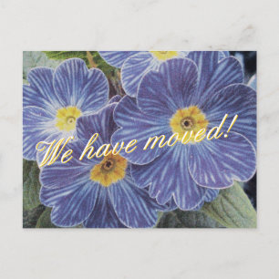 Cartes postales mobiles avec design de fleurs bleu