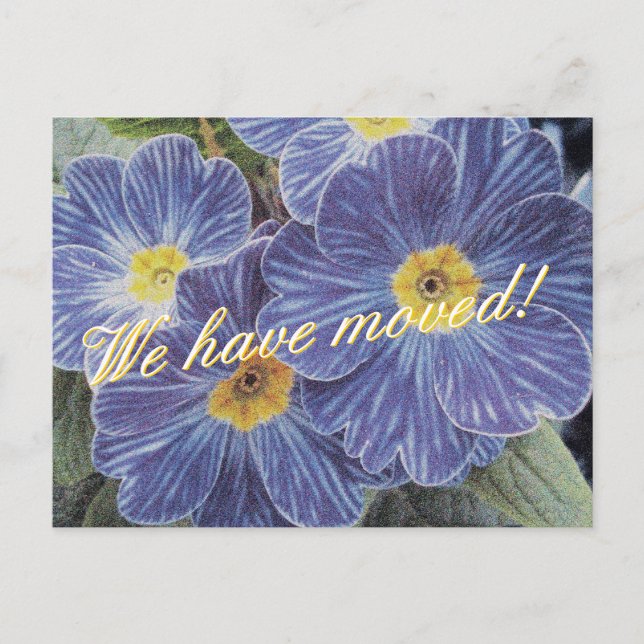 Cartes postales mobiles avec design de fleurs bleu (Devant)