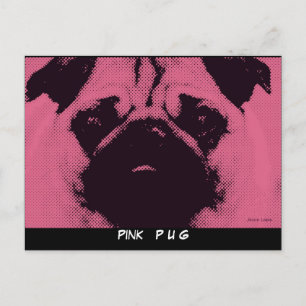 Cartes postales modèle, chien Carlin rose