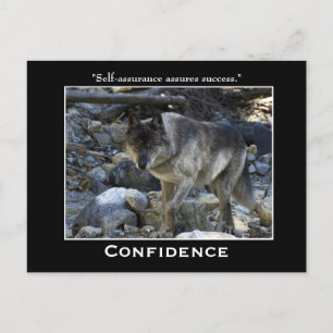 Cartes postales motivées par le loup gris