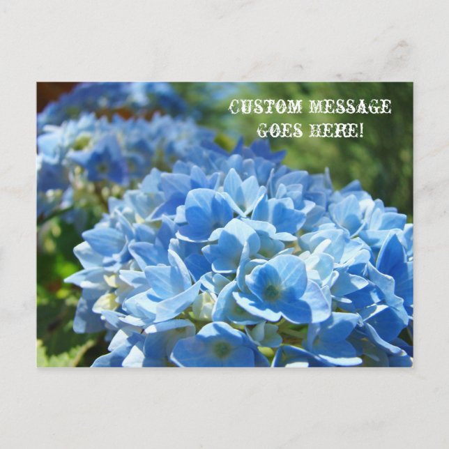 Cartes postales Nature Hydrangeas Entreprise perso (Devant)