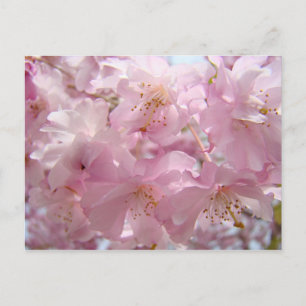 Cartes postales nature personnalisée Fleurs de l'a