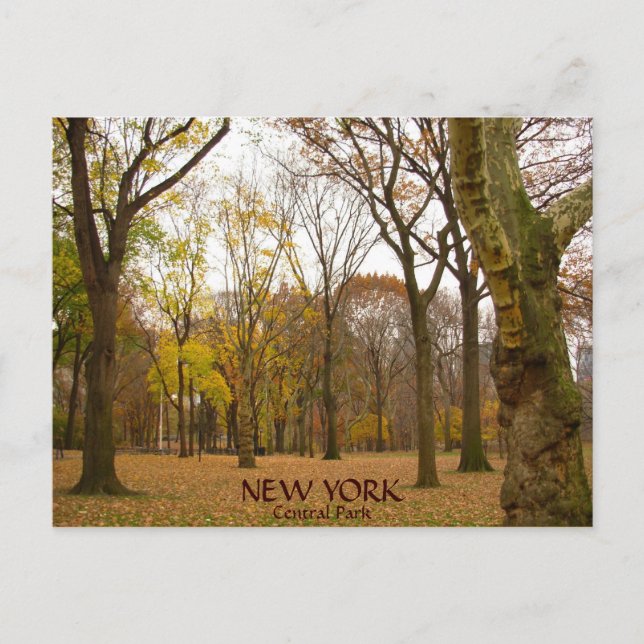 Cartes postales New York Cartes postales NYC Centr (Devant)