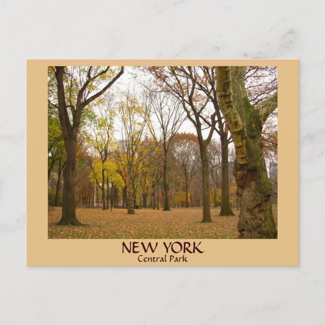Cartes postales New York NYC Central Park (Devant)
