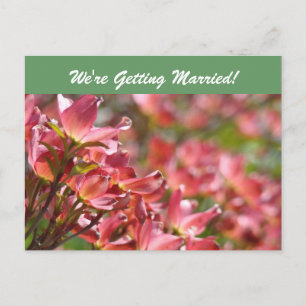 Cartes postales 'Nous nous marions !' Enregistrez