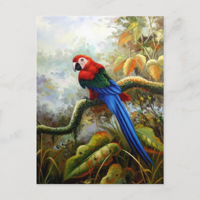 cartes postales oiseaux magnifiques 06 (Devant)