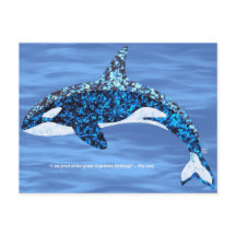 Cartes postales Orca Pensée Positive