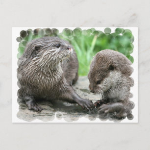 Cartes postales Otter Habitat