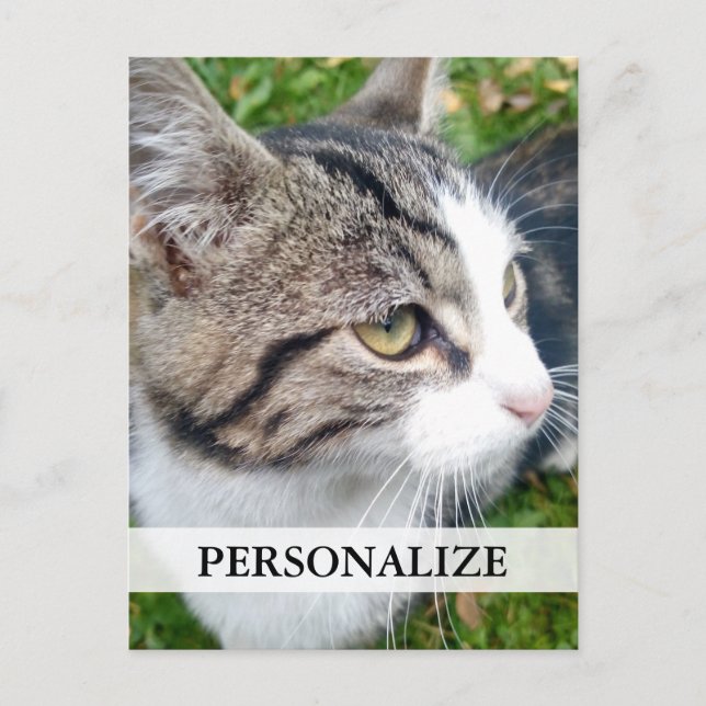 Cartes postales personnalisées | Ajouter votre ima (Devant)