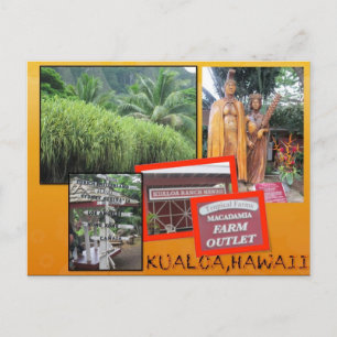 CARTES POSTALES PERSONNALISÉES - COLLAGE HAWAII# 2
