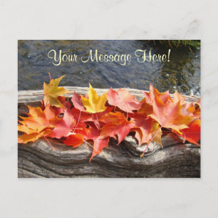 Cartes postales personnalisées Feuilles d'automne 