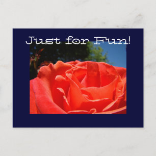 Cartes postales personnalisées Fleurs de Rose ROUG