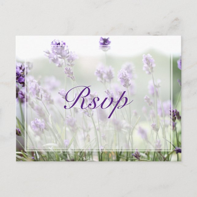 Cartes postales personnalisées Lavender Bohemian W (Devant)