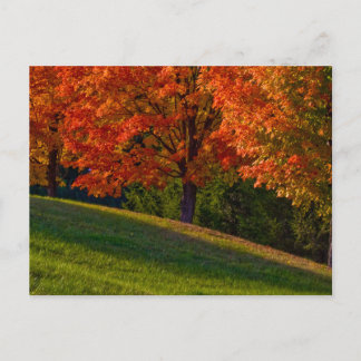 Cartes Postales Photo de Mise en Garde des Dates