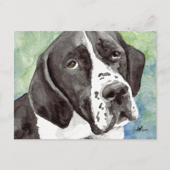 Cartes postales Pointer (Devant)