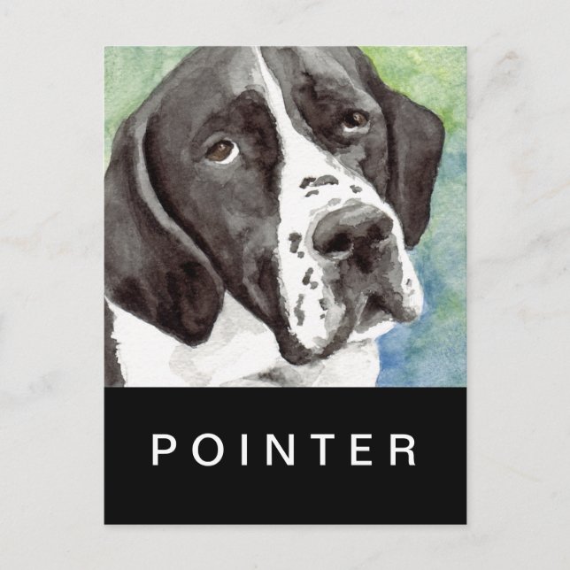 Cartes postales Pointer (Devant)