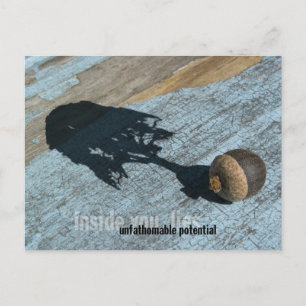 Cartes postales "potentielles"